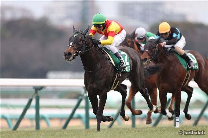 京成杯ＡＨのレース写真