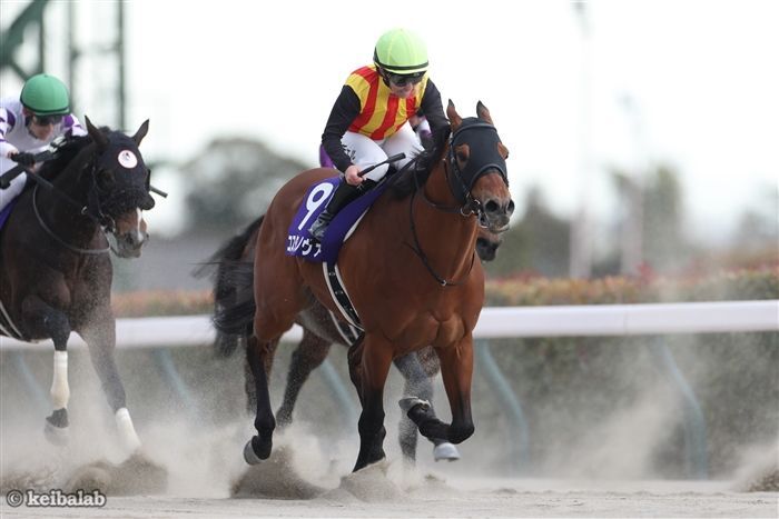 武蔵野Sのレース写真