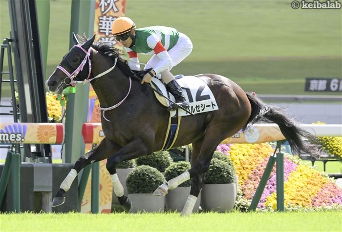 京都2歳Sのレース写真