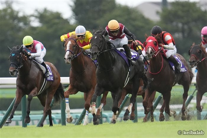 京阪杯のレース写真