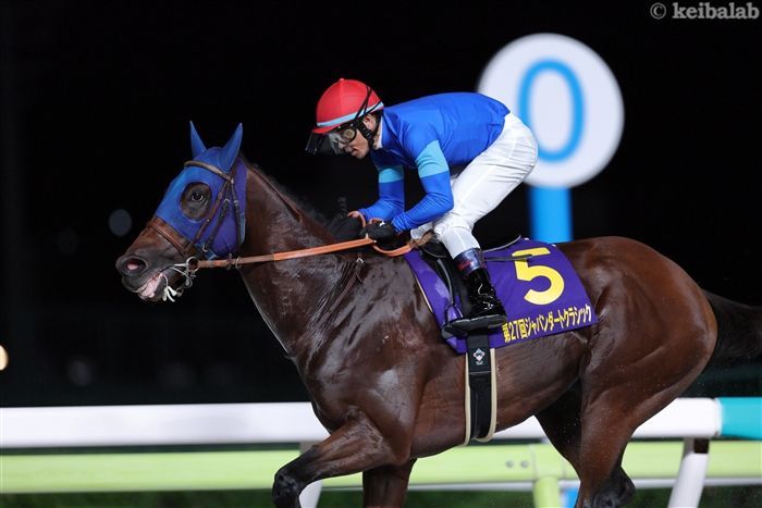 チャンピオンのレース写真