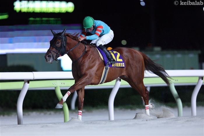 カペラSのレース写真