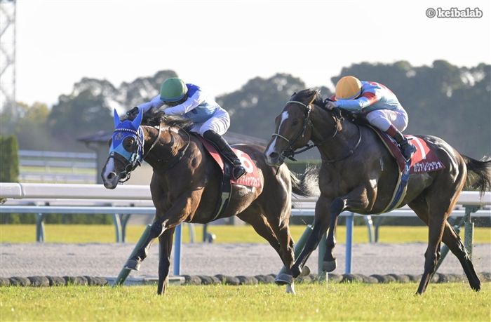 朝日杯FSのレース写真