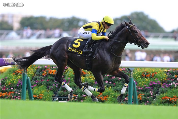 ホープフルSのレース写真