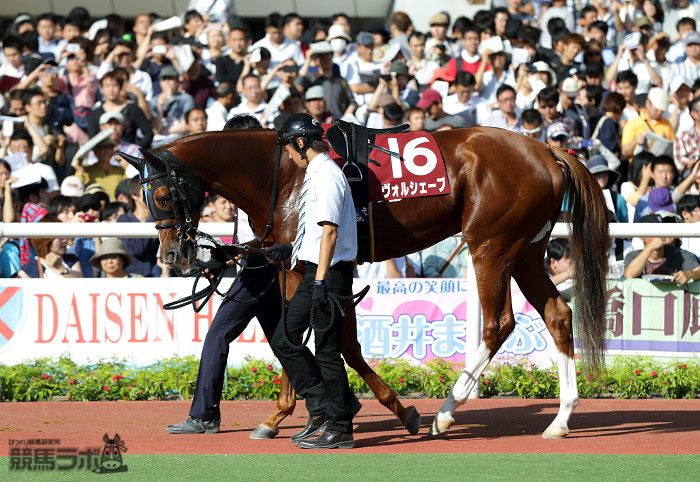 ヴォルシェーブ