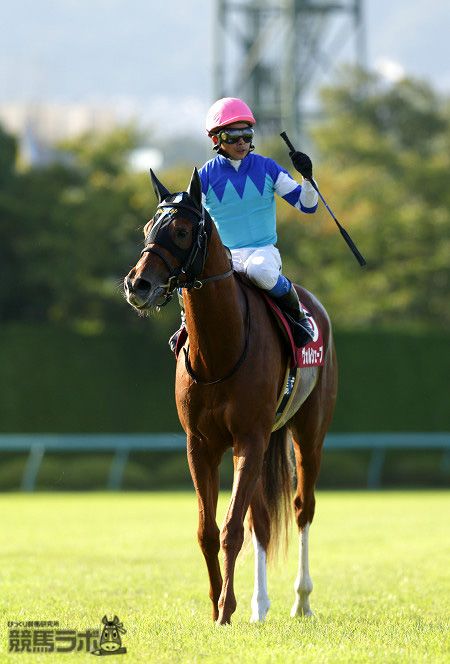 ヴォルシェーブ