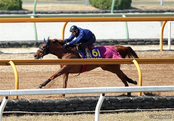 ラッキーライラック