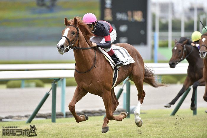 スティーグリッツ