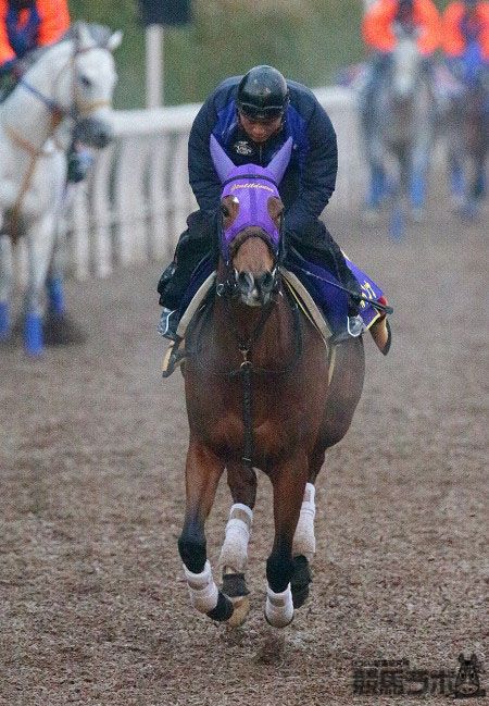 ジェンティルドンナ