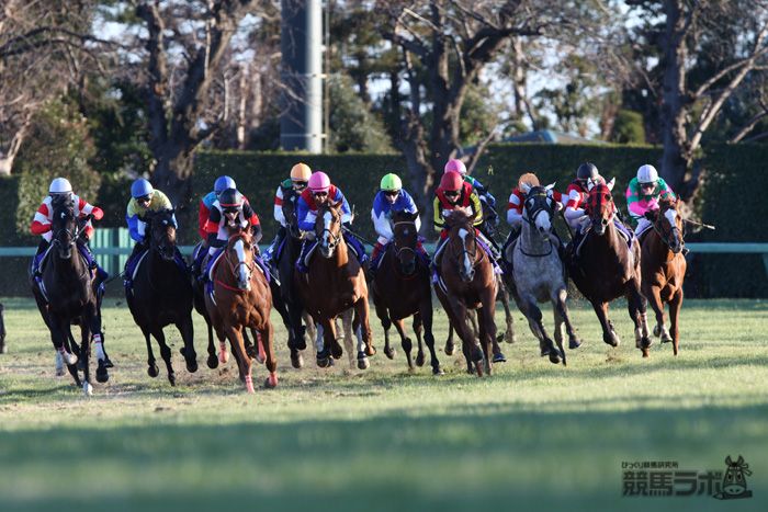 有馬記念