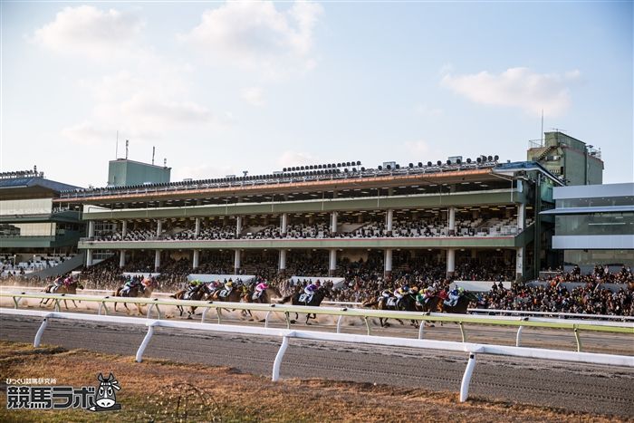 地方競馬