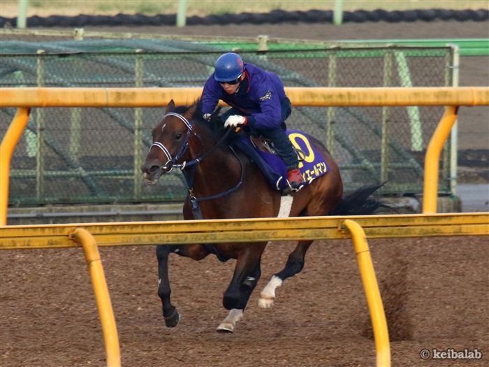 フィエールマン