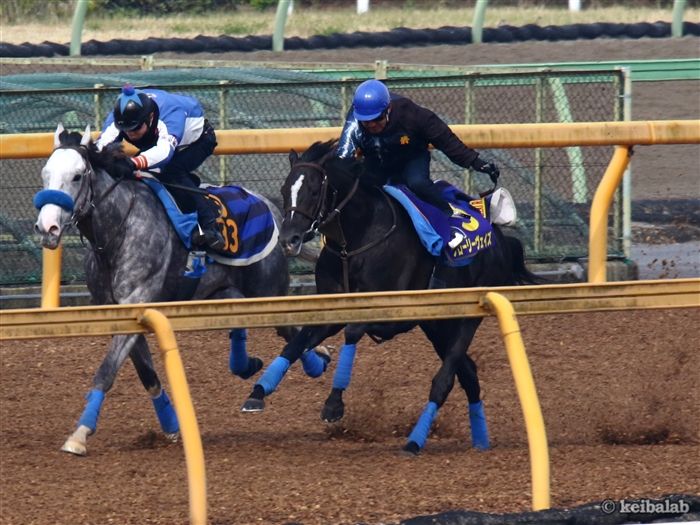グローリーヴェイズ