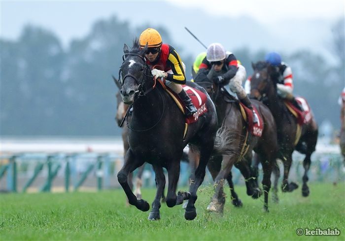 夏と冬のグランプリ連覇を目指すクロノジェネシス