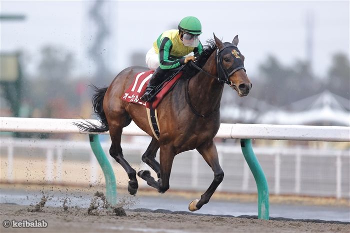 3連勝中と勢いに乗るオーヴェルニュ