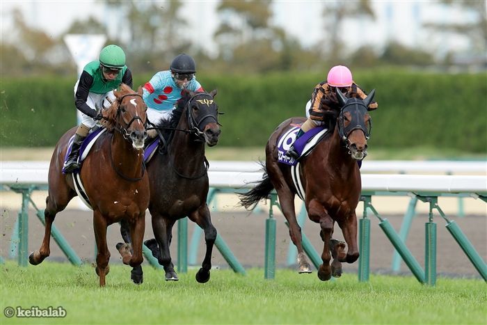 2020年の高松宮記念を繰り上がりで制したモズスーパーフレアもリピーター該当馬<br>写真提供：競馬ラボ