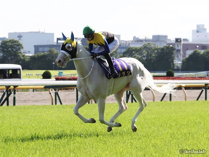 今年の秋華賞で1番人気が有力視されるソダシ<br>写真提供:競馬ラボ