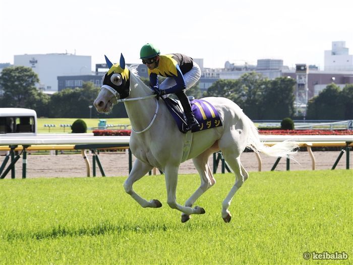 今年の秋華賞で1番人気が有力視されるソダシ<br>写真提供：競馬ラボ