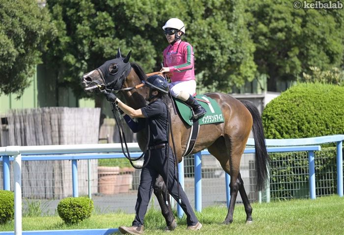 イングランドアイズ
