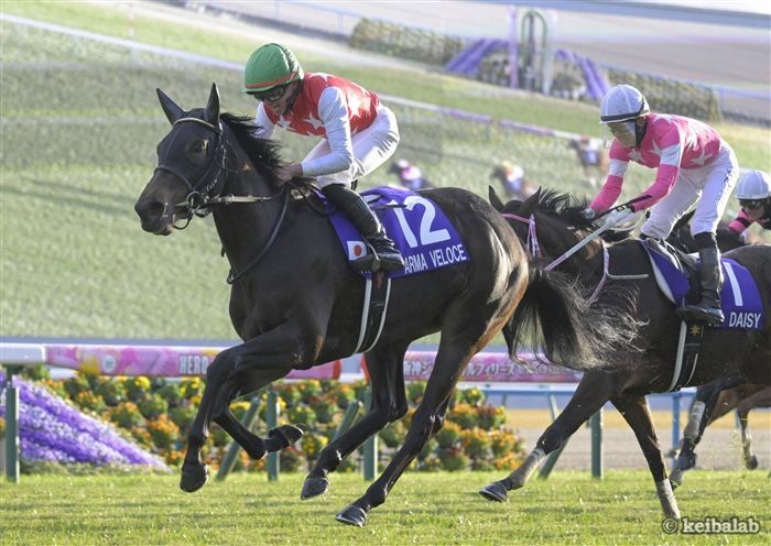 上村厩舎馬で春G1の主役だったアルマヴェローチェ