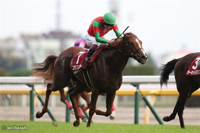 初の直線競馬でタイトルを狙うコラソンビート