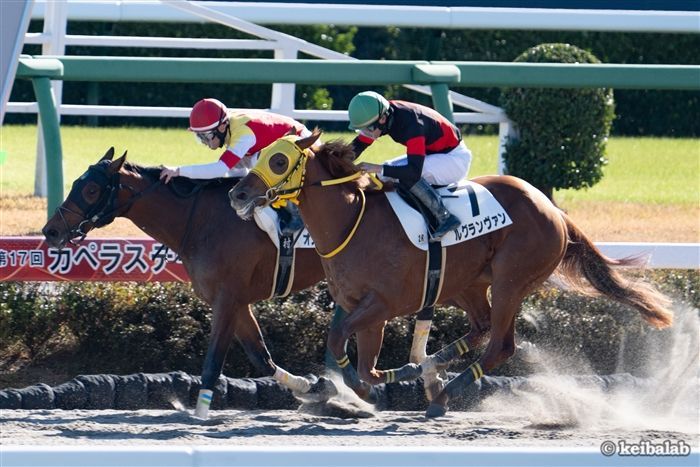 2連勝の勢いで重賞へ挑むルグランヴァン