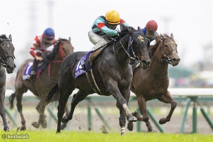 中京コースでG1を掴み取ったファストフォース
