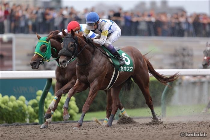 好成績のマリーンS組で23年に優勝したセキフウ