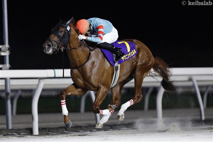 積極的な競馬で初タイトルを手にしたヤマニンチェルキ