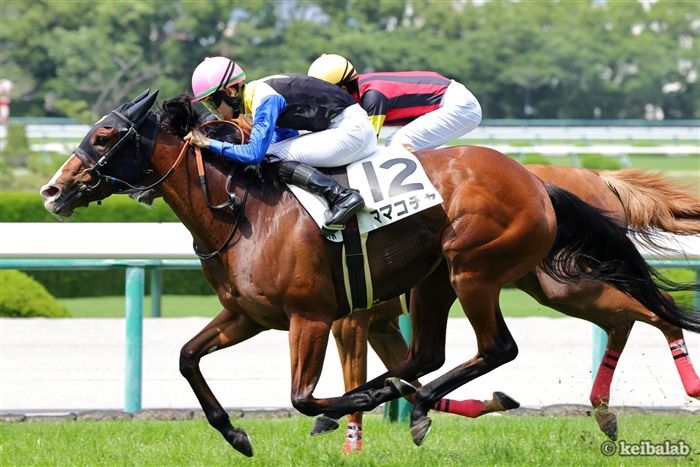 未だ成しえぬ牝馬の2勝に注目が集まるママコチャ