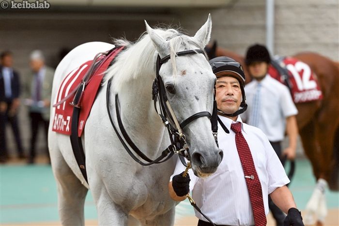 ガイアフォース