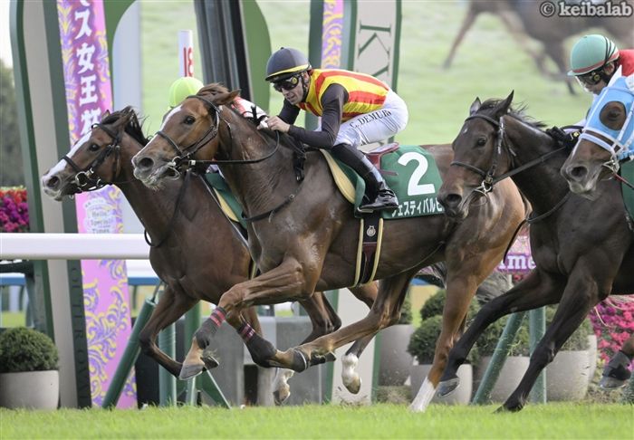 フェスティバルヒル