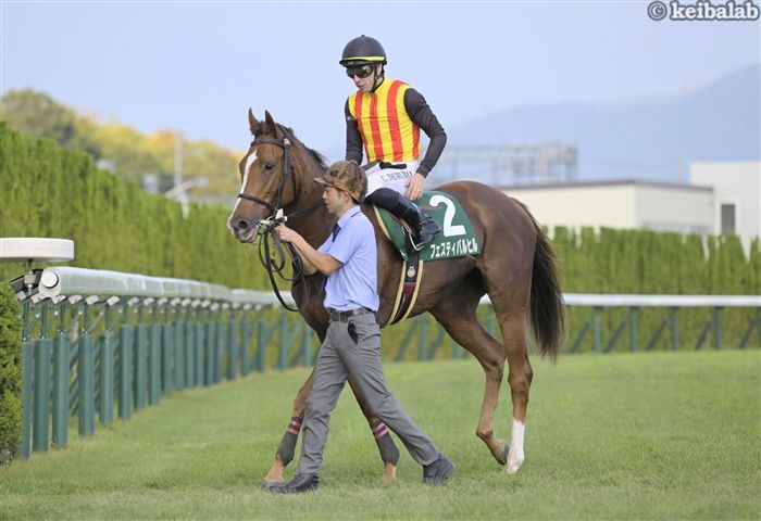 フェスティバルヒル