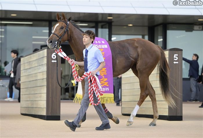 フェスティバルヒル