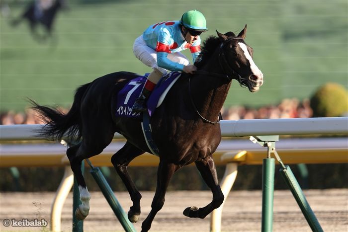 ここから世界最強馬まで上り詰めたイクイノックス