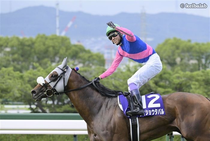 宝塚記念では見事な逃げ切りを見せたメイショウタバルと武豊騎手