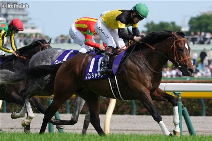 ここを制して3歳マイル王となった昨年優勝馬パンジャタワー