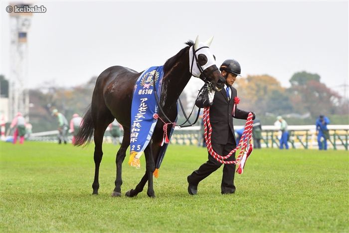 ミステリーウェイ