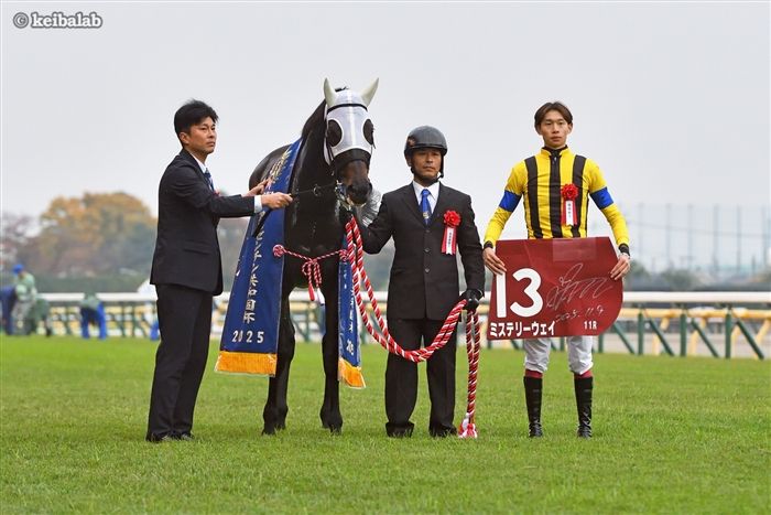 ミステリーウェイ