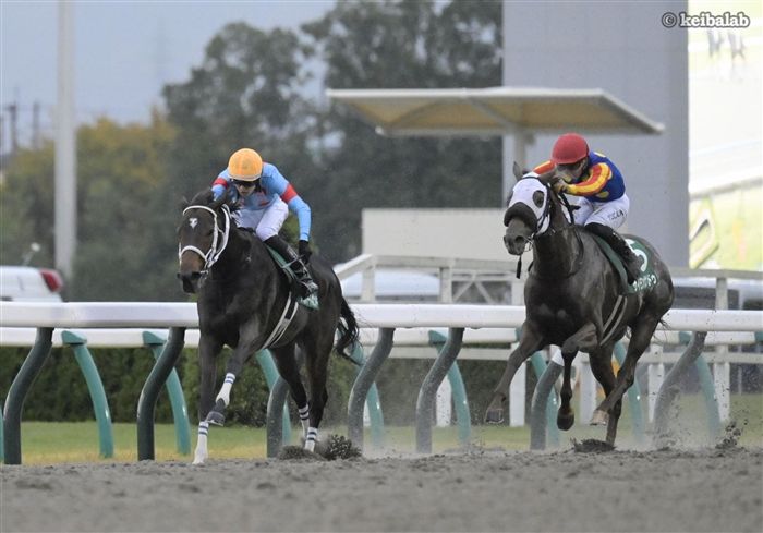 ダブルハートボンド