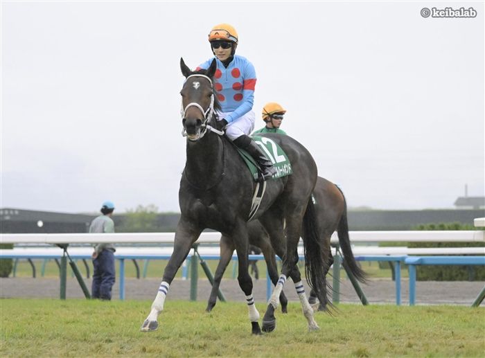 ダブルハートボンド