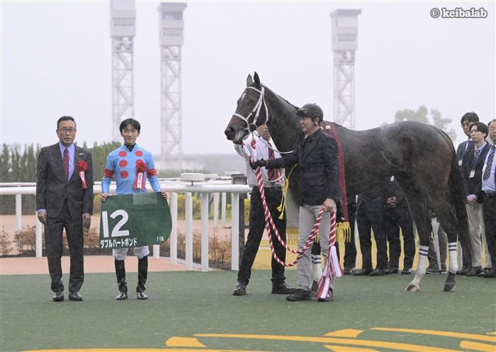 ダブルハートボンド