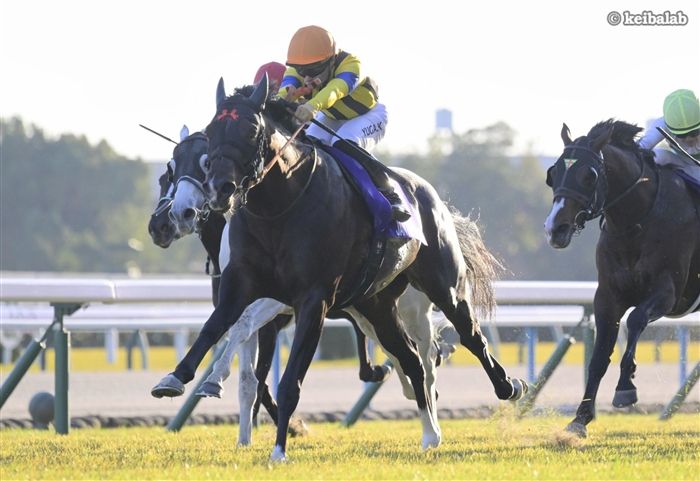 ジャンタルマンタル