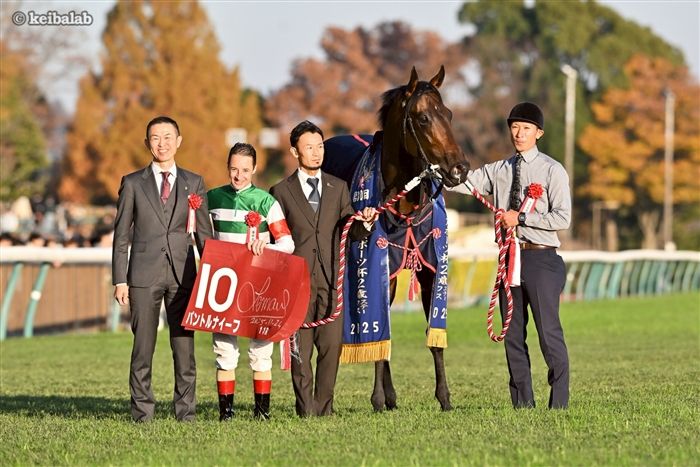 パントルナイーフ