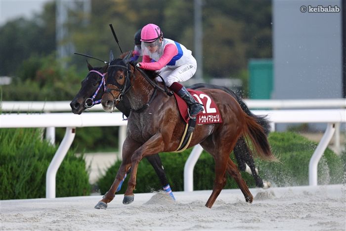 ダート2戦目にしてタイトルを手にしたトウカイマシェリ