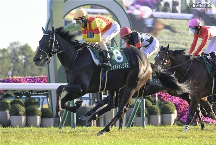 新馬戦とは真逆の競馬で勝ち切ってみせたジャスティンビスタ