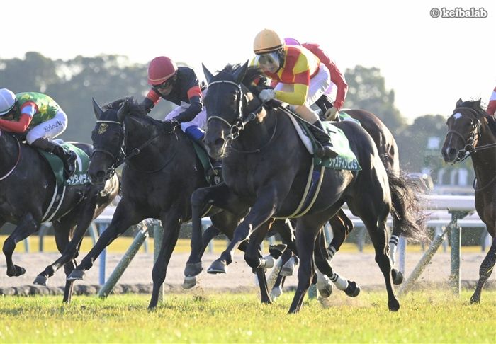 ジャスティンビスタ