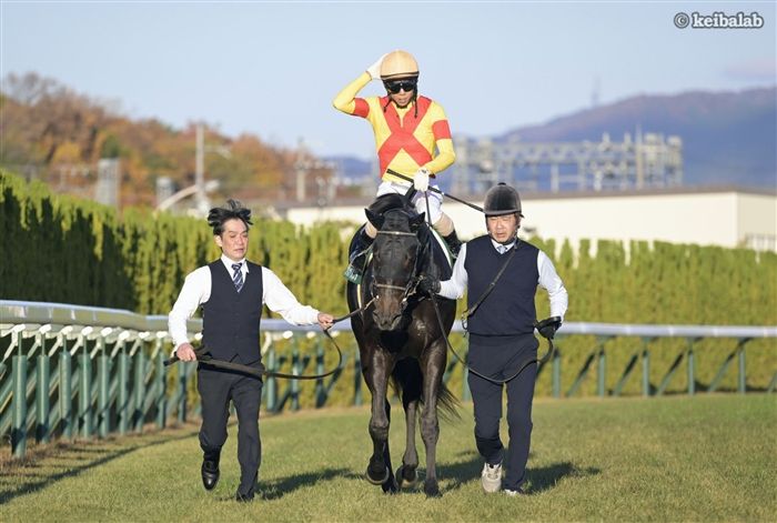 ジャスティンビスタ