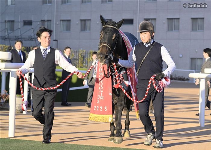 ジャスティンビスタ