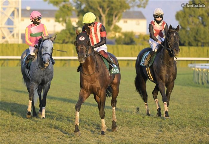 エーティーマクフィ